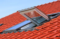 Borley roof window