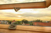 rated Borley roof window companies